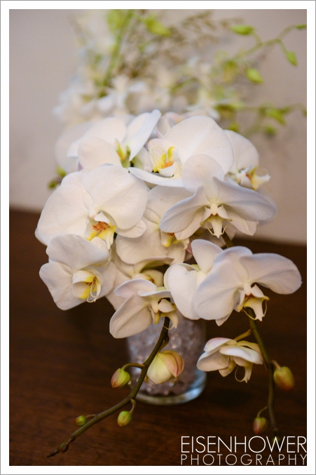 02-AGBG_0005
